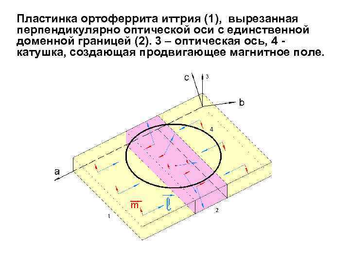 Пластинка ортоферрита иттрия (1), вырезанная перпендикулярно оптической оси с единственной доменной границей (2). 3