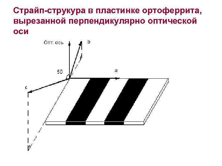 Страйп-струкура в пластинке ортоферрита, вырезанной перпендикулярно оптической оси 