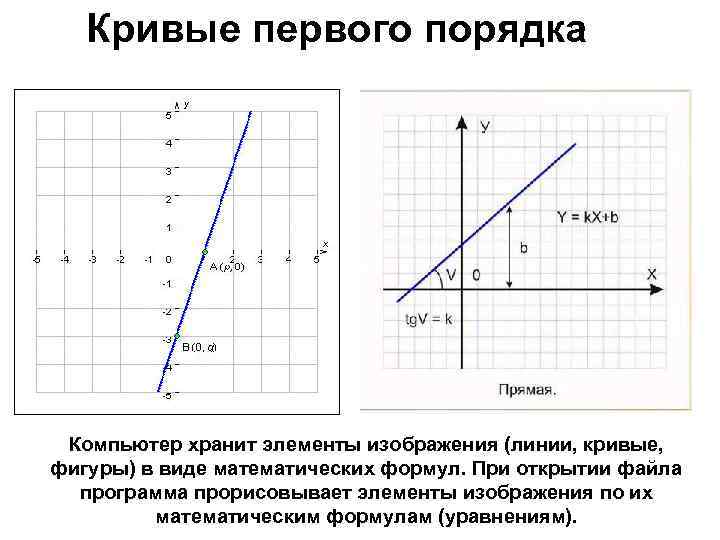Кривые первого порядка Компьютер хранит элементы изображения (линии, кривые, фигуры) в виде математических формул.