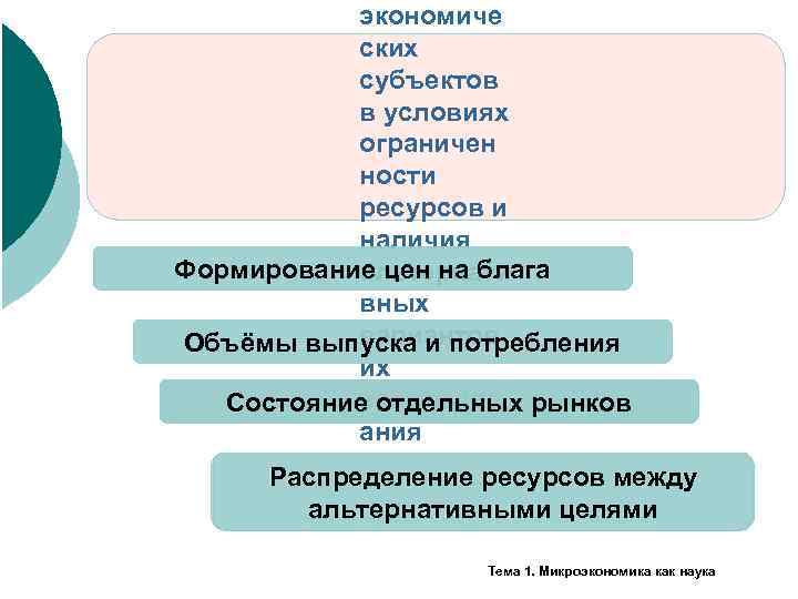 экономиче ских субъектов в условиях ограничен ности ресурсов и наличия Формирование цен на блага
