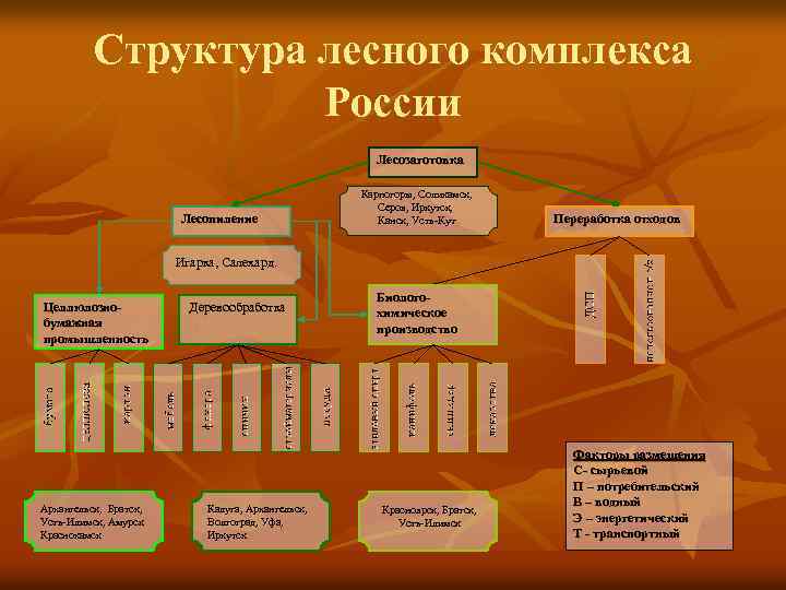 Структура лесного комплекса России Лесозаготовка Лесопиление Карпогоры, Соликамск, Серов, Иркутск, Канск, Усть-Кут Переработка отходов