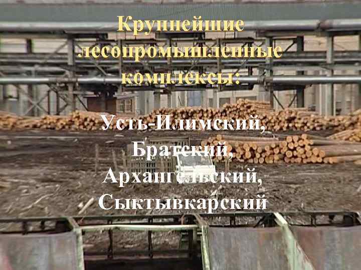Крупнейшие лесопромышленные комплексы: Усть-Илимский, Братский, Архангельский, Сыктывкарский 