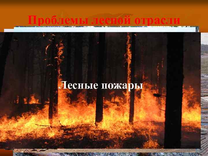 Проблемы лесной отрасли Истощение запасов древесины Сброс отходов Отходы в районах лесозаготовки Нерациональное леса