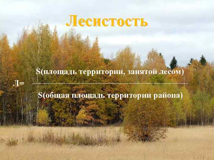 Лесистость S(площадь территории, занятой лесом) Л= S(общая площадь территории района) 