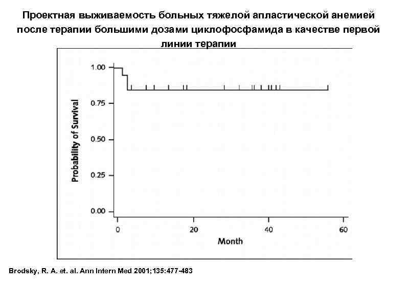 Проектная выживаемость больных тяжелой апластической анемией после терапии большими дозами циклофосфамида в качестве первой