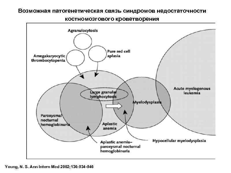 Возможная патогенетическая связь синдромов недостаточности костномозгового кроветворения Young, N. S. Ann Intern Med 2002;