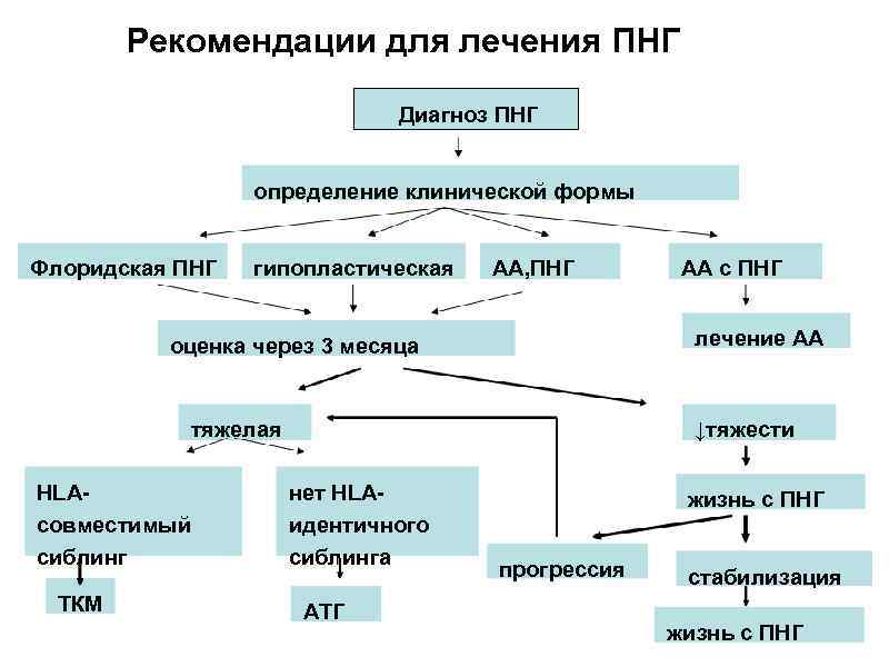 Рекомендации для лечения ПНГ Диагноз ПНГ определение клинической формы Флоридская ПНГ гипопластическая АА, ПНГ