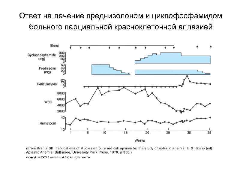 Ответ на лечение преднизолоном и циклофосфамидом больного парциальной красноклеточной аплазией 