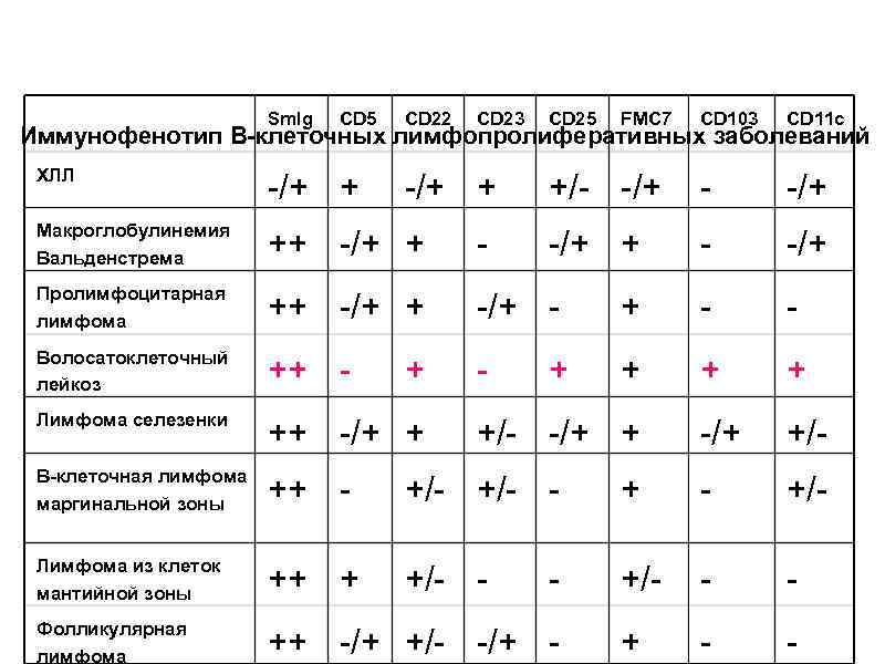 Sm. Ig CD 5 CD 22 CD 23 CD 25 FMC 7 CD 103