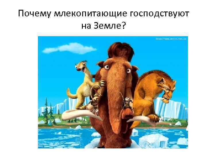 Почему млекопитающие господствуют на Земле? 