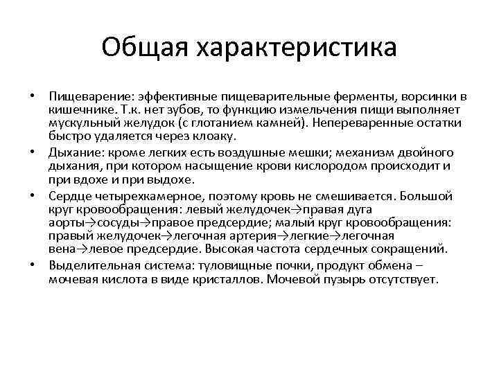 Общая характеристика • Пищеварение: эффективные пищеварительные ферменты, ворсинки в кишечнике. Т. к. нет зубов,