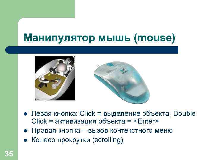 Манипулятор мышь (mouse) l l l 35 Левая кнопка: Click = выделение объекта; Double