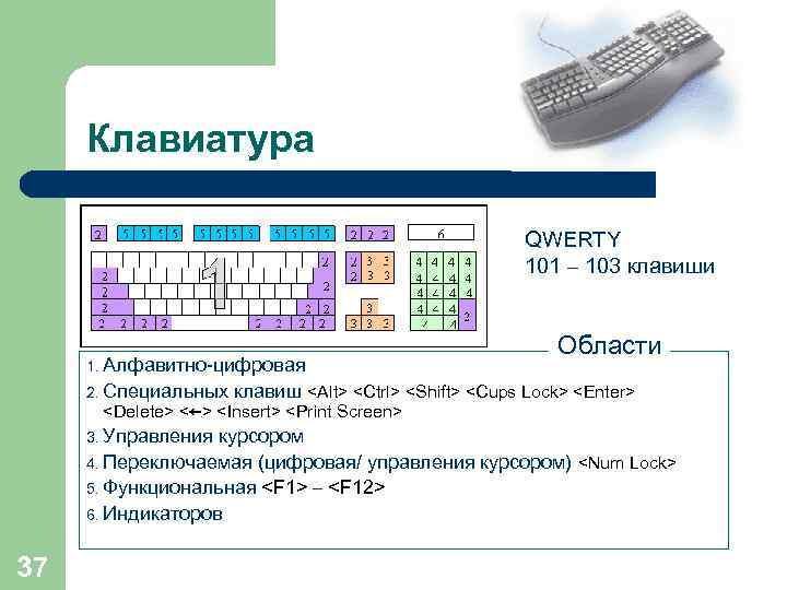 Клавиатура QWERTY 101 – 103 клавиши 1. Алфавитно-цифровая 2. Специальных клавиш <Alt> <Ctrl> <Shift>