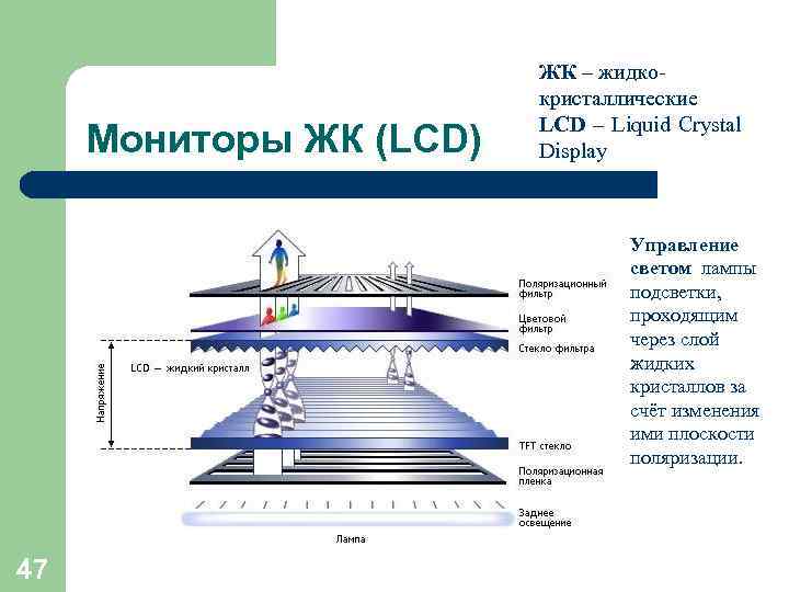 Мониторы ЖК (LCD) ЖК – жидкокристаллические LCD – Liquid Crystal Display • Управление светом