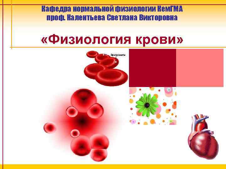 Кафедра нормальной физиологии Кем. ГМА проф. Калентьева Светлана Викторовна «Физиология крови» 