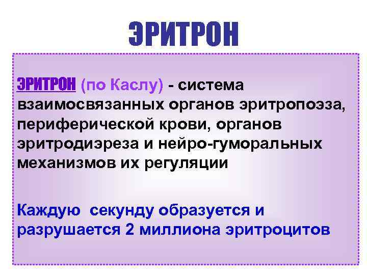 Эритрон. Понятие об эритроне. Эритрон это физиология. Система Эритрон. Эритрон понятие строение.