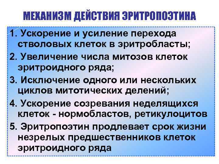 МЕХАНИЗМ ДЕЙСТВИЯ ЭРИТРОПОЭТИНА 1. Ускорение и усиление перехода стволовых клеток в эритробласты; 2. Увеличение