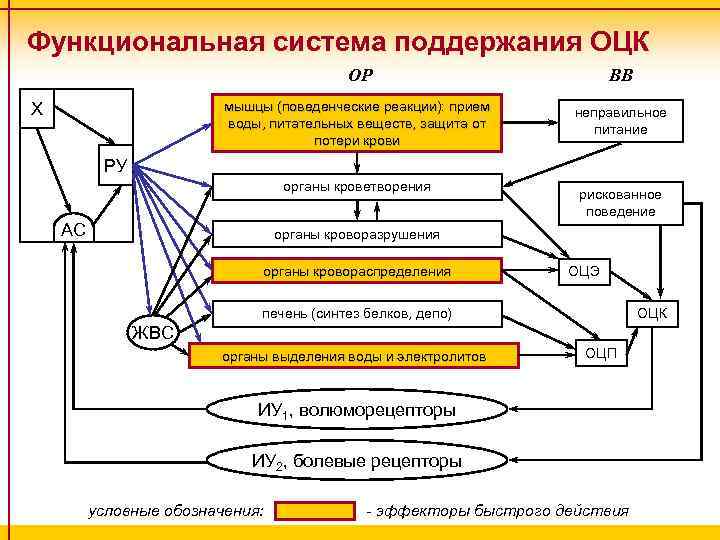 Общая схема функциональной системы организма