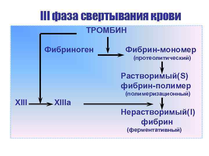 III фаза свертывания крови ТРОМБИН Фибриноген Фибрин-мономер (протеолитический) Растворимый(S) фибрин-полимер (полимеризационный) XIIIa Нерастворимый(I) фибрин