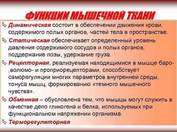 ФУНКЦИИ МЫШЕЧНОЙ ТКАНИ Ä Динамическая состоит в обеспечении движения крови, содержимого полых органов, частей