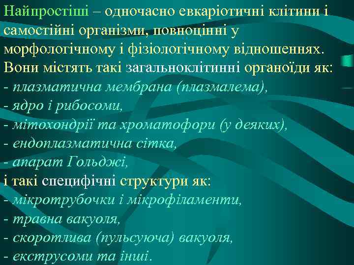 Найпростіші – одночасно евкаріотичні клітини і самостійні організми, повноцінні у морфологічному і фізіологічному відношеннях.