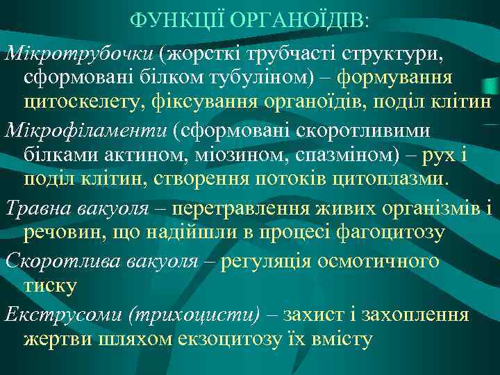 ФУНКЦІЇ ОРГАНОЇДІВ: Мікротрубочки (жорсткі трубчасті структури, сформовані білком тубуліном) – формування цитоскелету, фіксування органоїдів,