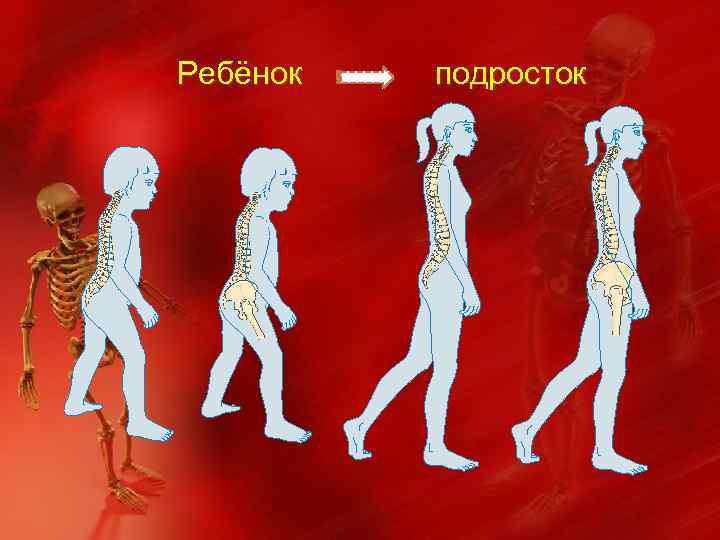 Ребёнок подросток 