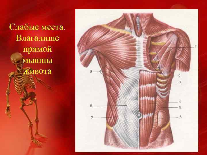 Слабые места