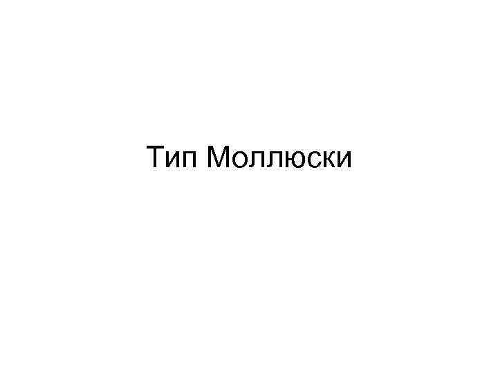 Тип Моллюски 