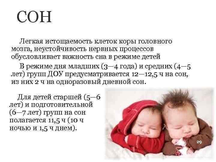 СОН Легкая истощаемость клеток коры головного мозга, неустойчивость нервных процессов обусловливает важность сна в