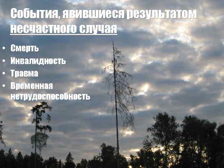 События, явившиеся результатом несчастного случая • • Смерть Инвалидность Травма Временная нетрудоспособность 