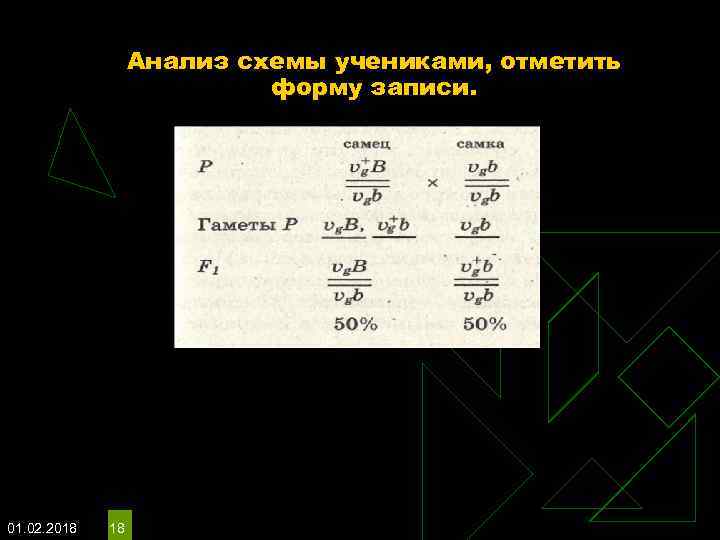 Анализ схемы учениками, отметить форму записи. 01. 02. 2018 18 