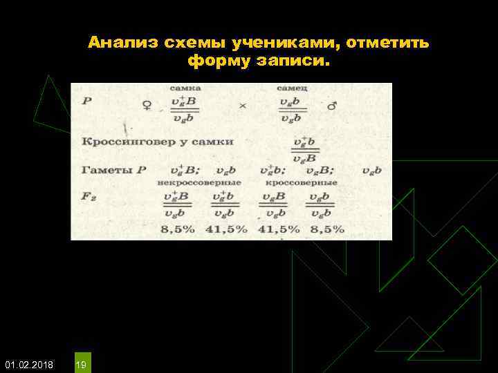 Анализ схемы учениками, отметить форму записи. 01. 02. 2018 19 