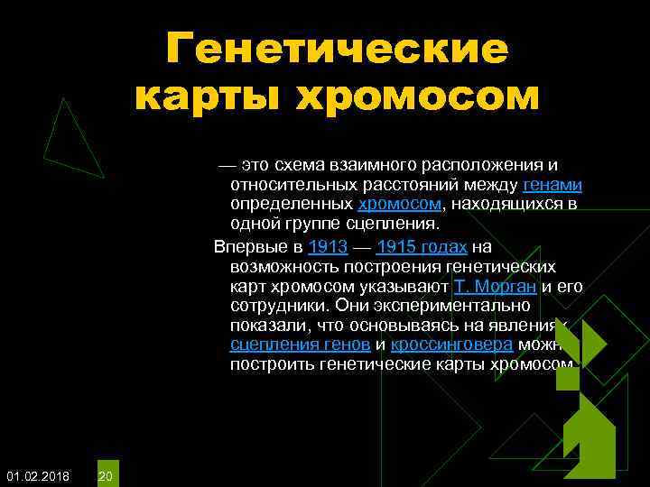 Генетические карты хромосом — это схема взаимного расположения и относительных расстояний между генами определенных