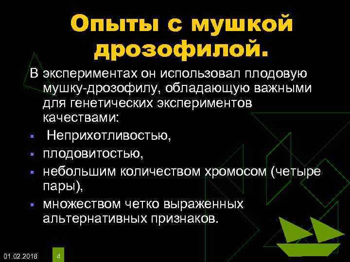 Опыты с мушкой дрозофилой. В экспериментах он использовал плодовую мушку-дрозофилу, обладающую важными для генетических