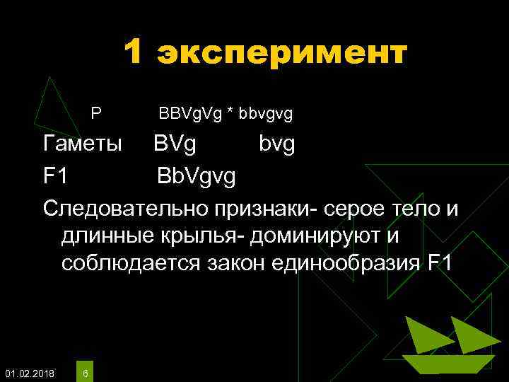 1 эксперимент P BBVg. Vg * bbvgvg Гаметы BVg bvg F 1 Bb. Vgvg