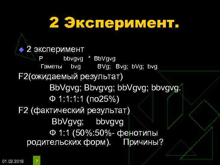 2 Эксперимент. u 2 эксперимент P bbvgvg * Bb. Vgvg Гаметы bvg BVg; Bvg;