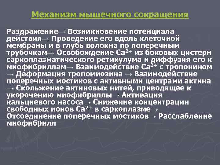 Механизм мышечного сокращения Раздражение→ Возникновение потенциала действия→ Проведение его вдоль клеточной мембраны и в