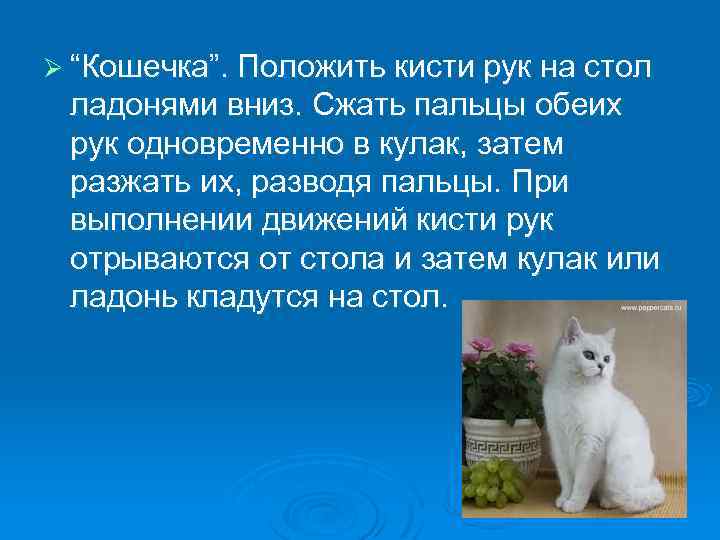 Ø “Кошечка”. Положить кисти рук на стол ладонями вниз. Сжать пальцы обеих рук одновременно
