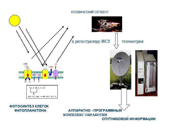 ПОВЕРХНОСТЬ ОКЕАНА НАЗЕМНЫЙ СЕГМЕНТ КОСМИЧЕСКИЙ СЕГМЕНТ к регистратору ИСЗ телеметрия ФОТОСИНТЕЗ КЛЕТОК ФИТОПЛАНКТОНА АППАРАТНО
