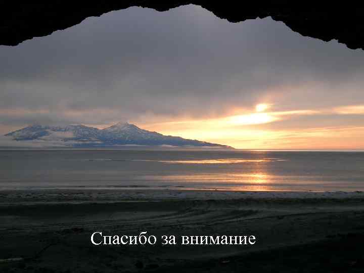  Спасибо за внимание ! Спасибо за внимание 