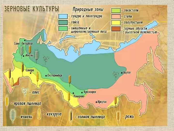 На какие три части делится восточная сибирь