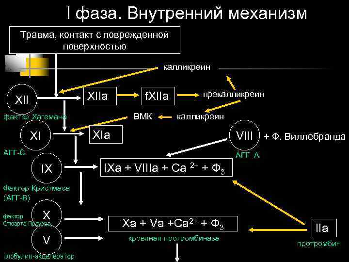 I фаза. Внутренний механизм Травма, контакт с поврежденной поверхностью калликреин XIIa XII f. XIIa