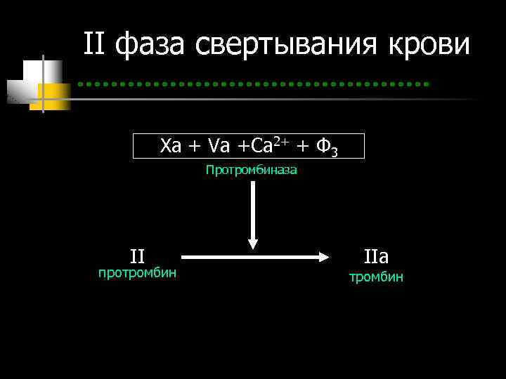 II фаза свертывания крови Xa + Va +Ca 2+ + Ф 3 Протромбиназа II