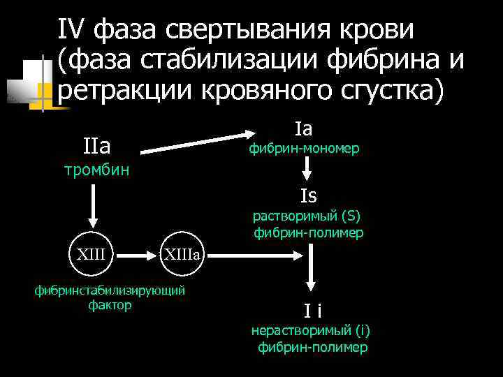 IV фаза свертывания крови (фаза стабилизации фибрина и ретракции кровяного сгустка) Iа IIa фибрин-мономер