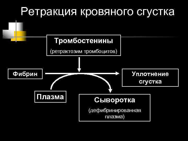 Ретракция кровяного сгустка Тромбостенины (ретрактозим тромбоцитов) Фибрин Плазма Уплотнение сгустка Сыворотка (дефибринированная плазма) 