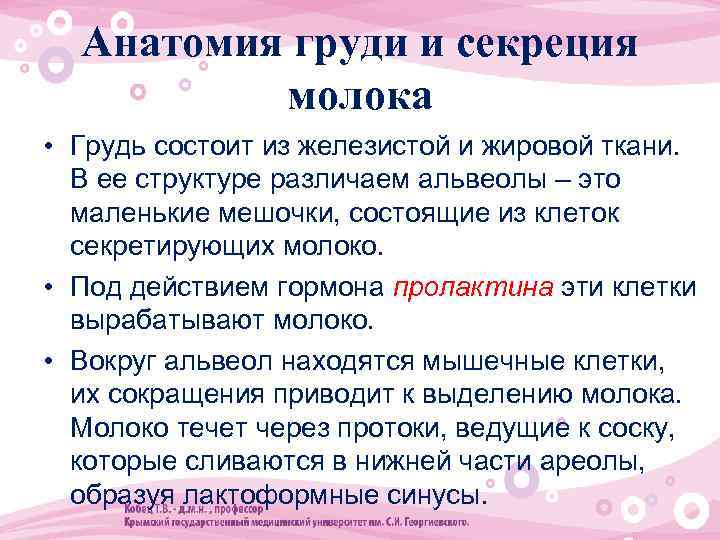Анатомия груди и секреция молока • Грудь состоит из железистой и жировой ткани. В
