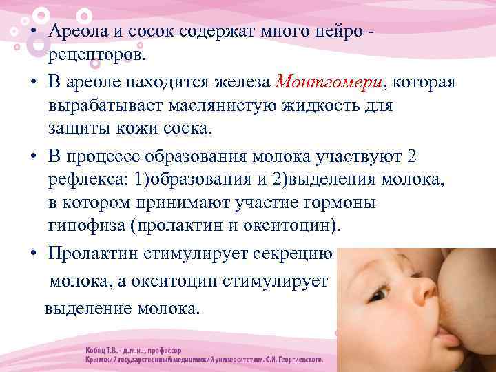  • Ареола и сосок содержат много нейро рецепторов. • В ареоле находится железа