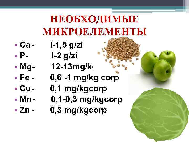 НЕОБХОДИМЫЕ МИКРОЕЛЕМЕНТЫ • Cal-1, 5 g/zi • P- l-2 g/zi • Mg- 12 -13