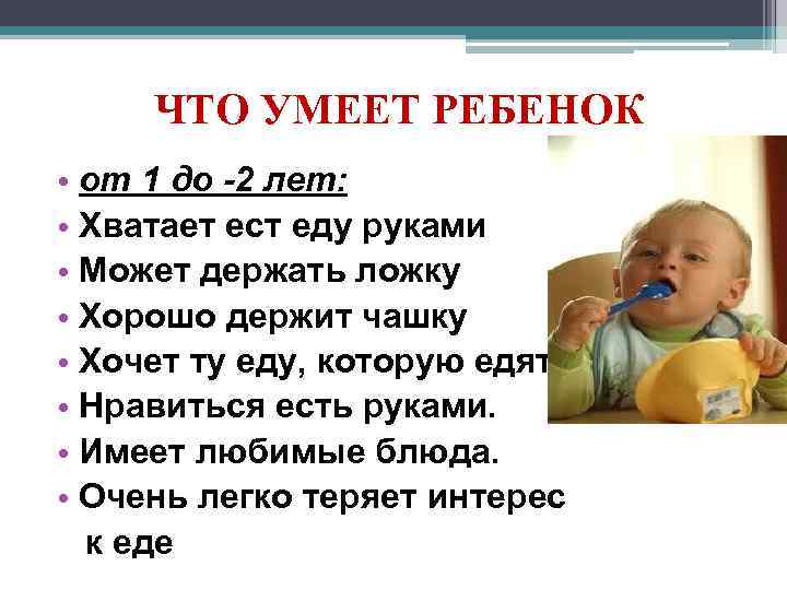ЧТО УМЕЕТ РЕБЕНОК • от 1 до -2 лет: • Хватает ест еду руками